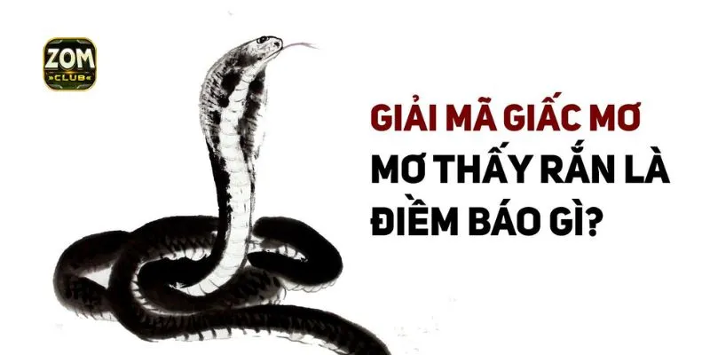 Tổng hợp các giấc mơ về rắn hay gặp